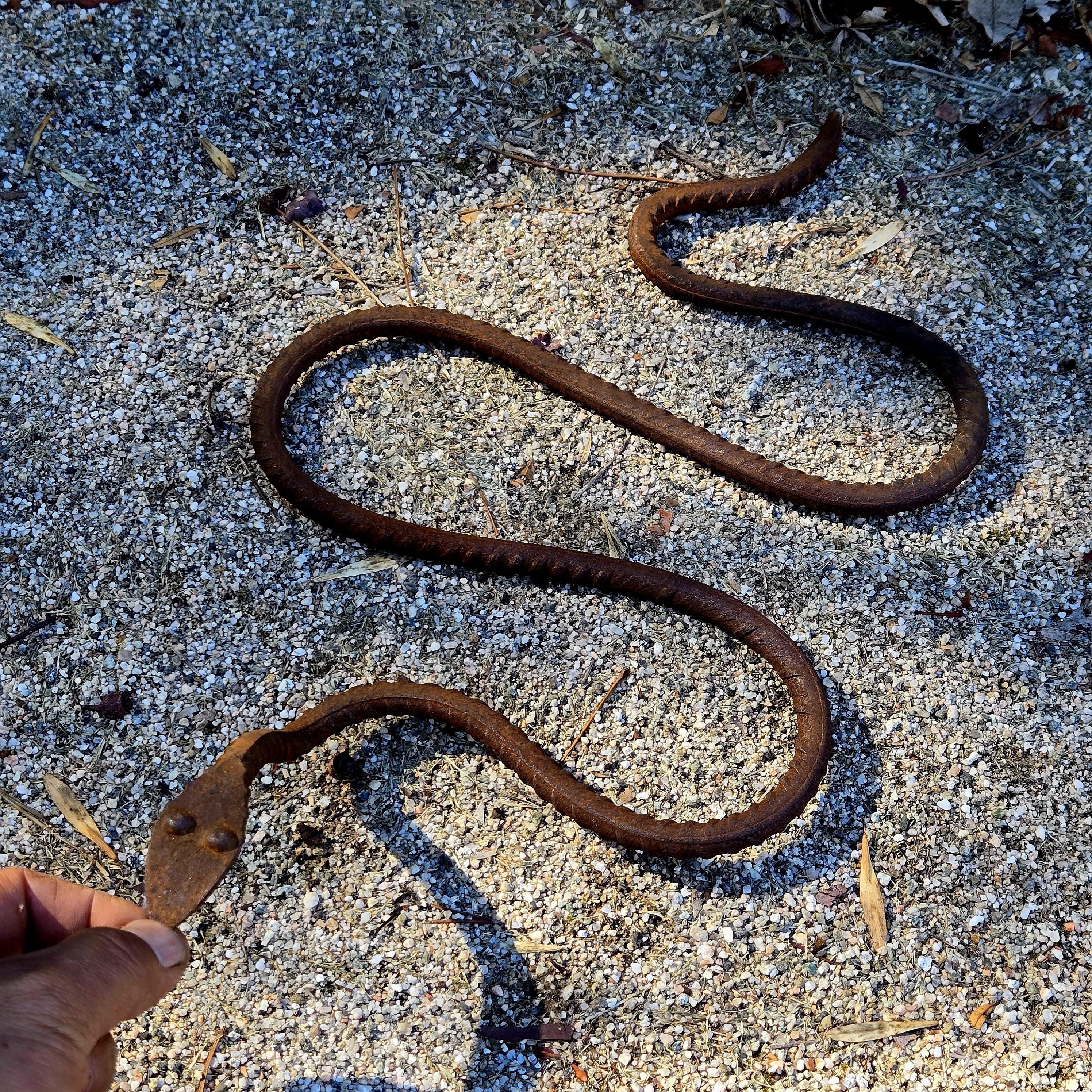 Rustic Metal Snake Garden Art: Outdoor Wildlife Sculpture