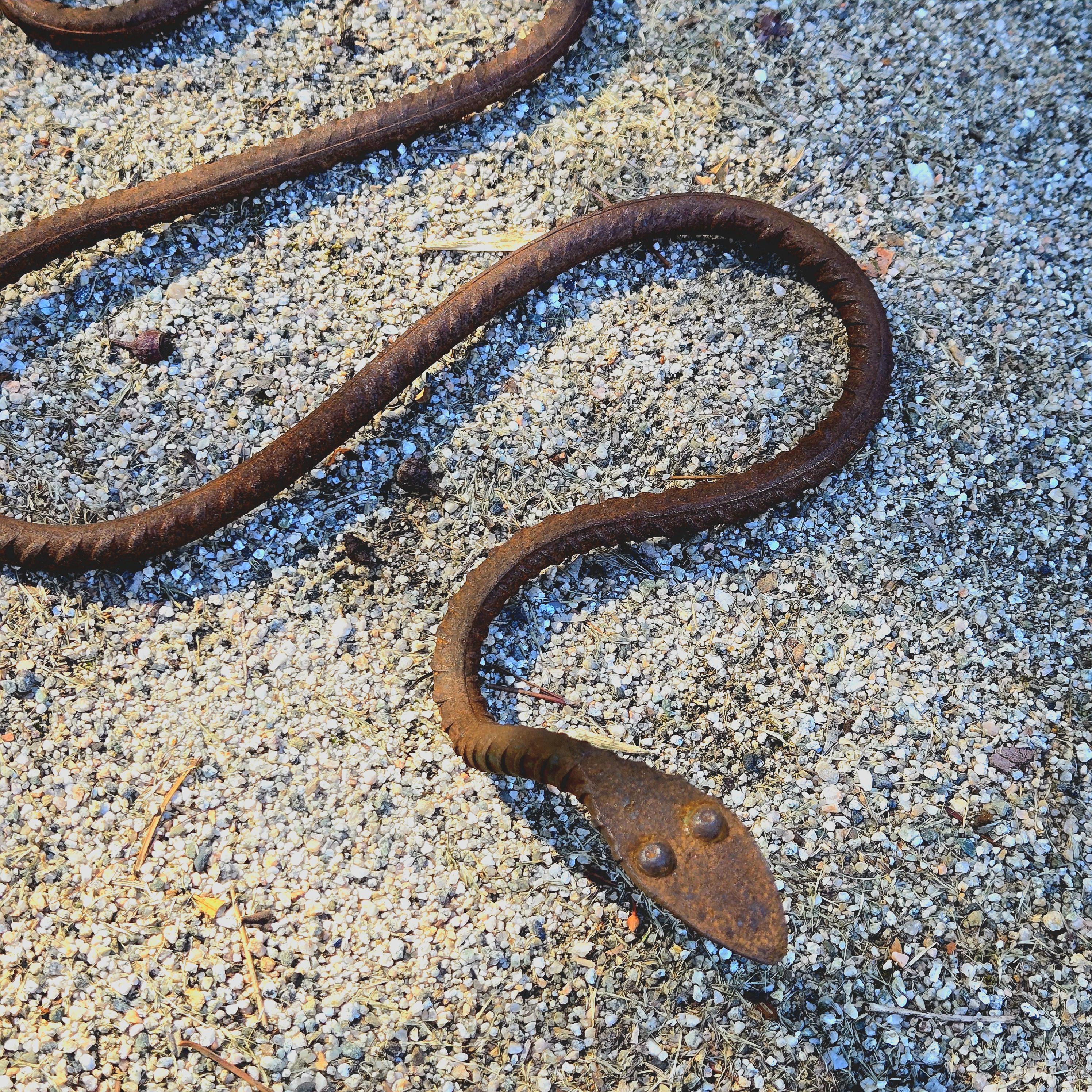 Rustic Metal Snake Garden Art: Outdoor Wildlife Sculpture