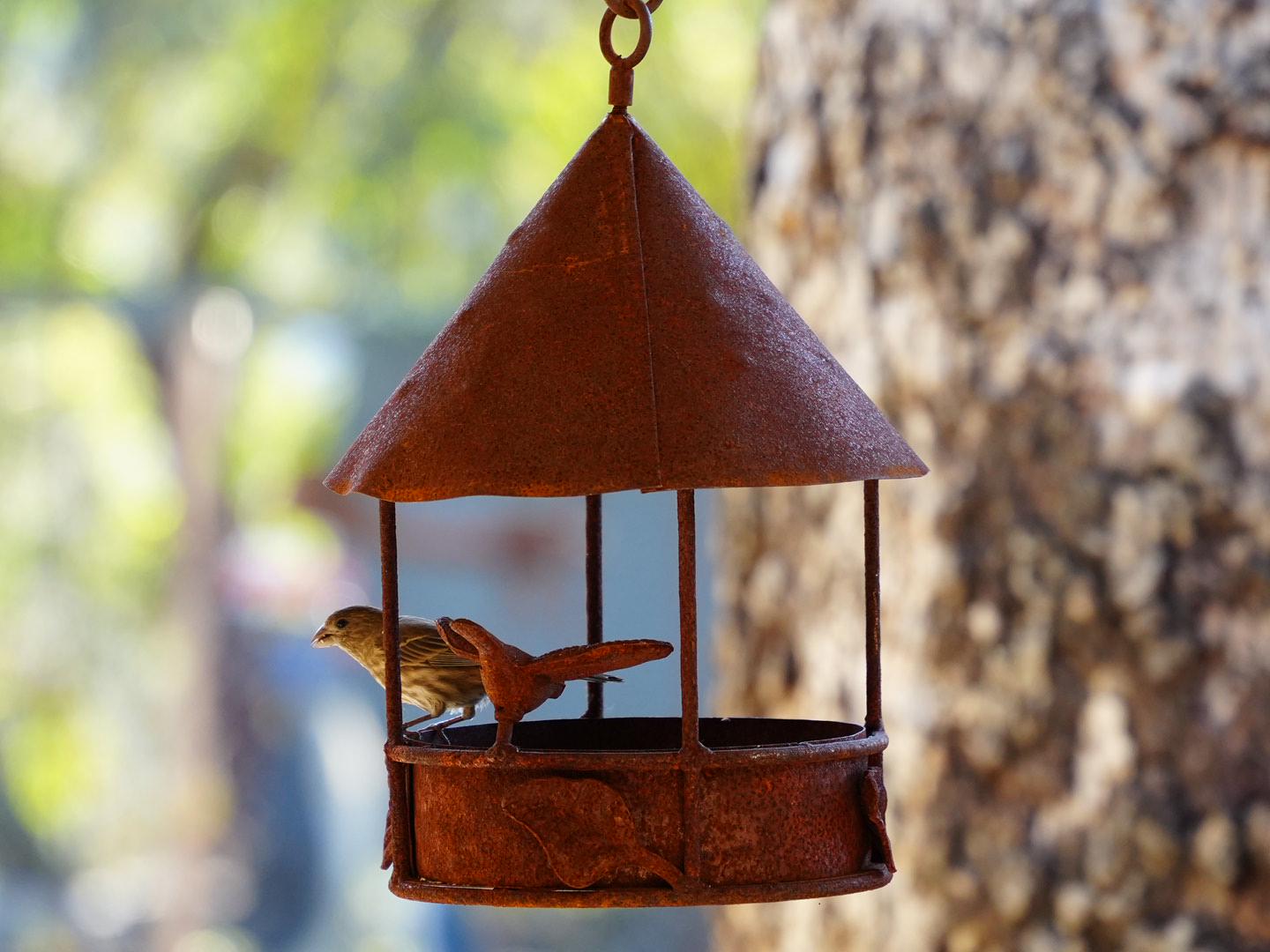Rustic Hanging Metal Bird Feeder – Functional Outdoor Garden Yard Decor