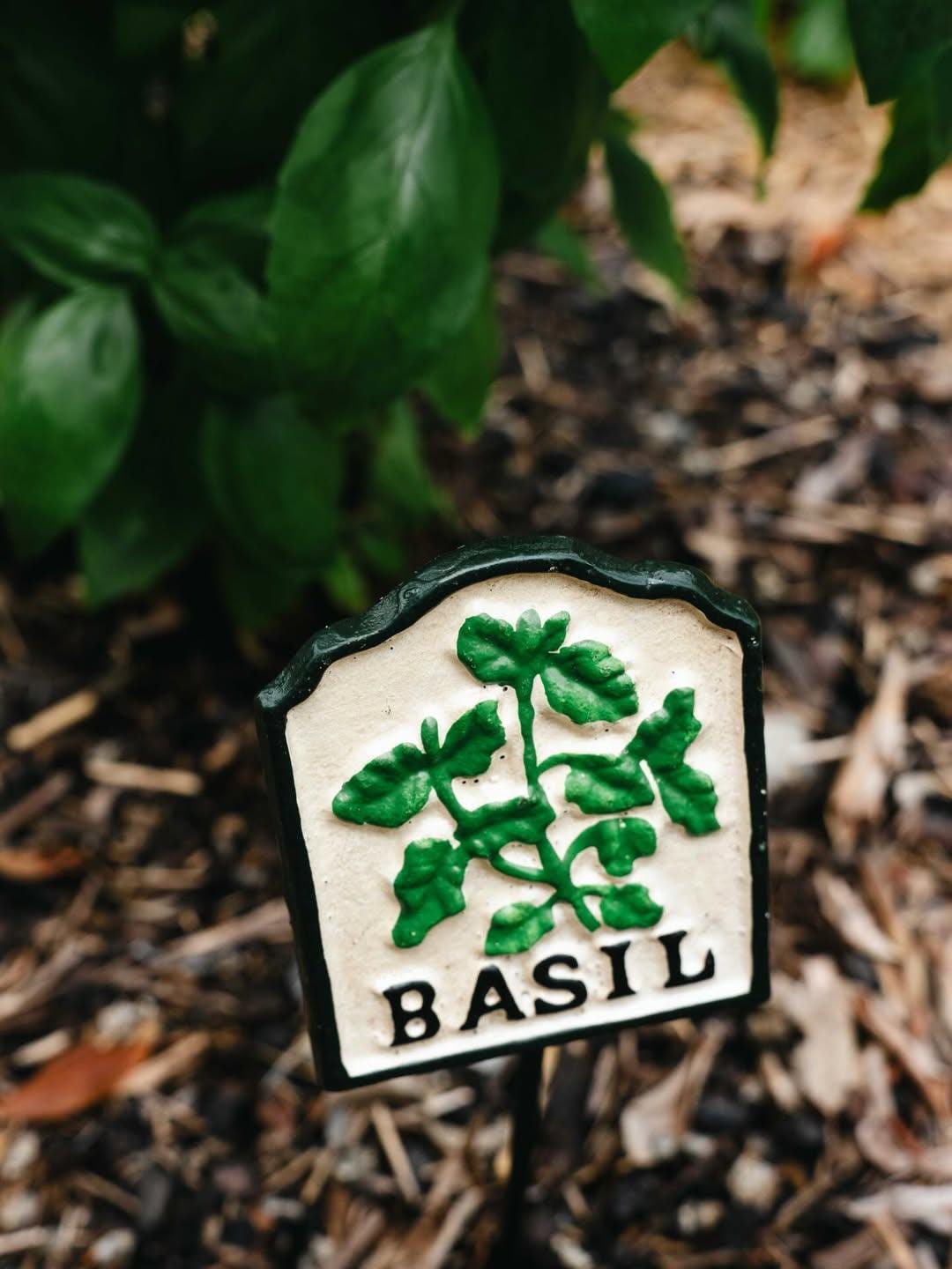 Hand-Painted Cast Iron Herb Garden Signs | Plant Markers, Garden Decor