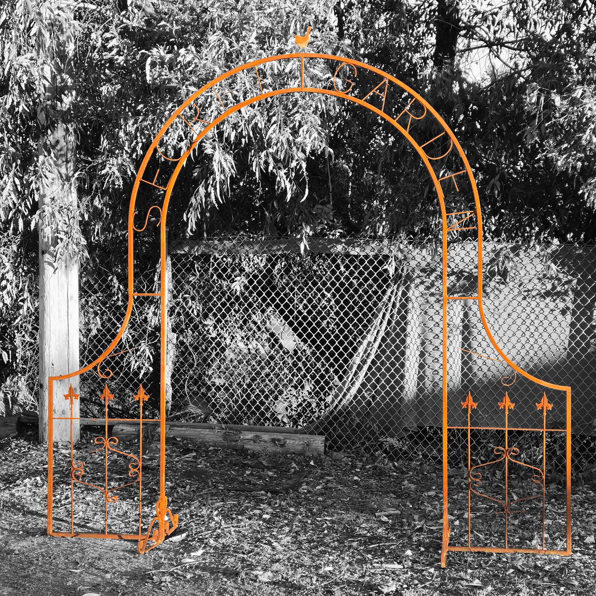 Rustic Metal Garden Arbor – Vintage Iron Gate, Scrollwork Details