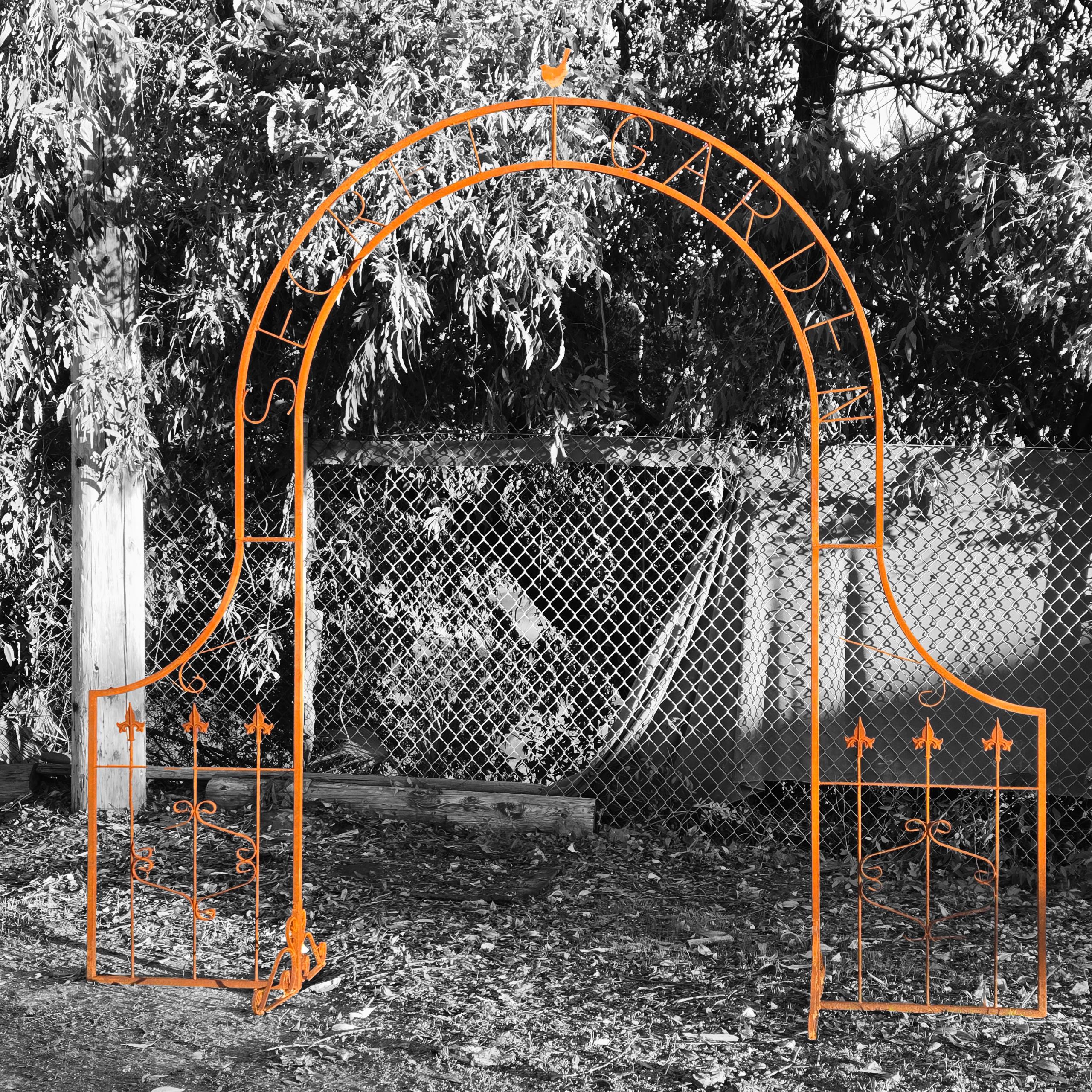 Rustic Metal Garden Arbor – Vintage Iron Gate, Scrollwork Details