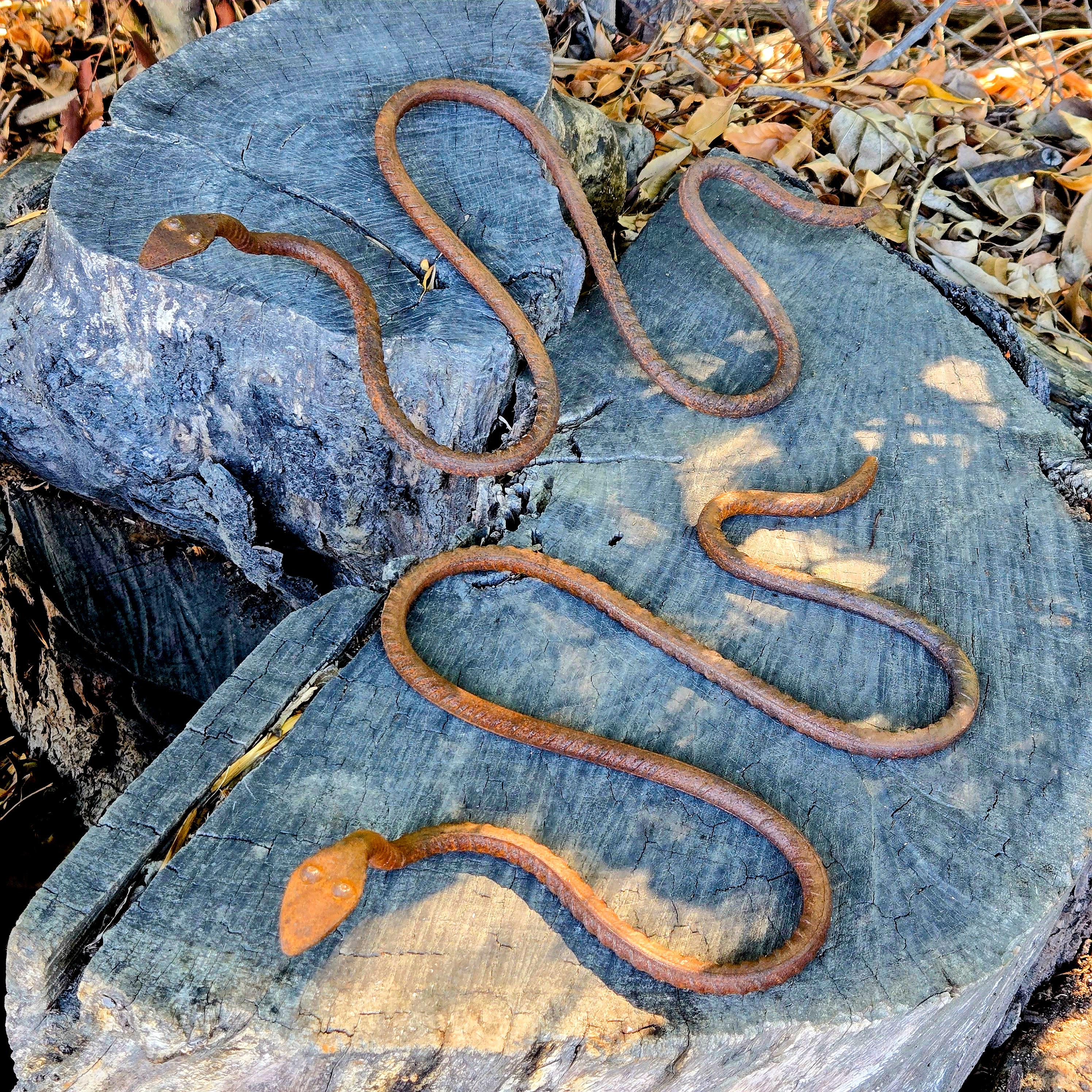 Rustic Metal Snake Garden Art: Outdoor Wildlife Sculpture