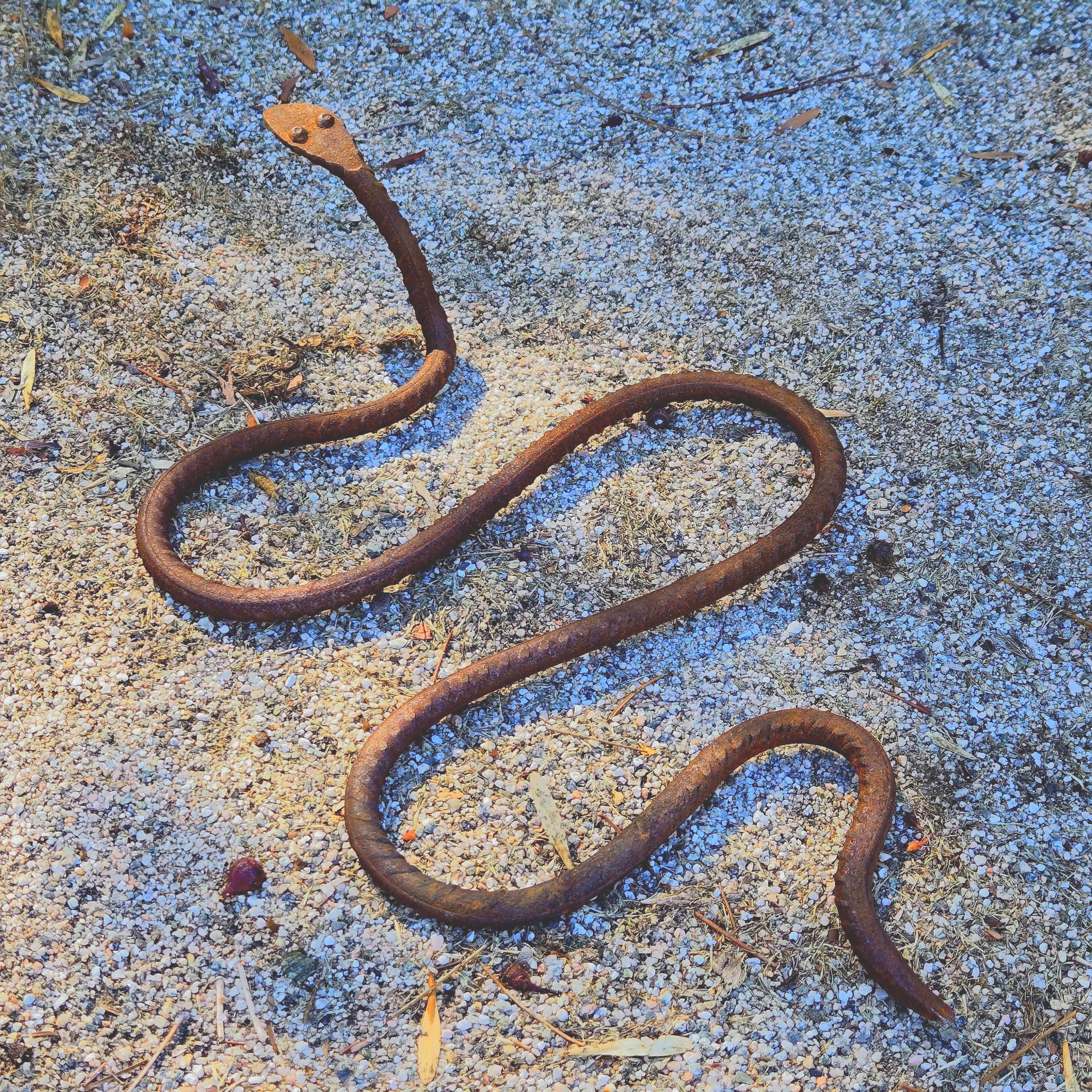Rustic Metal Snake Garden Art: Outdoor Wildlife Sculpture