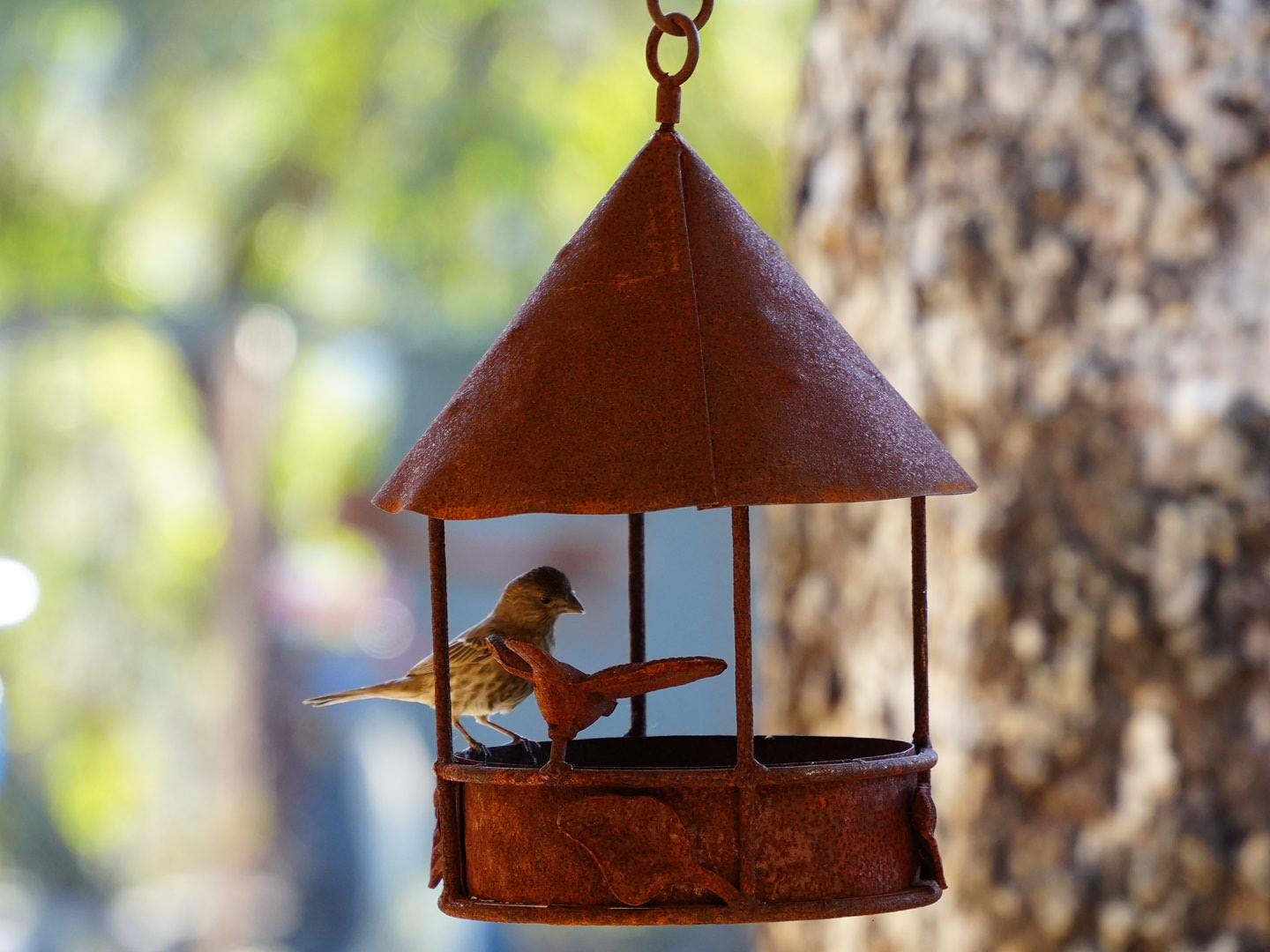 Rustic Hanging Metal Bird Feeder – Functional Outdoor Garden Yard Decor