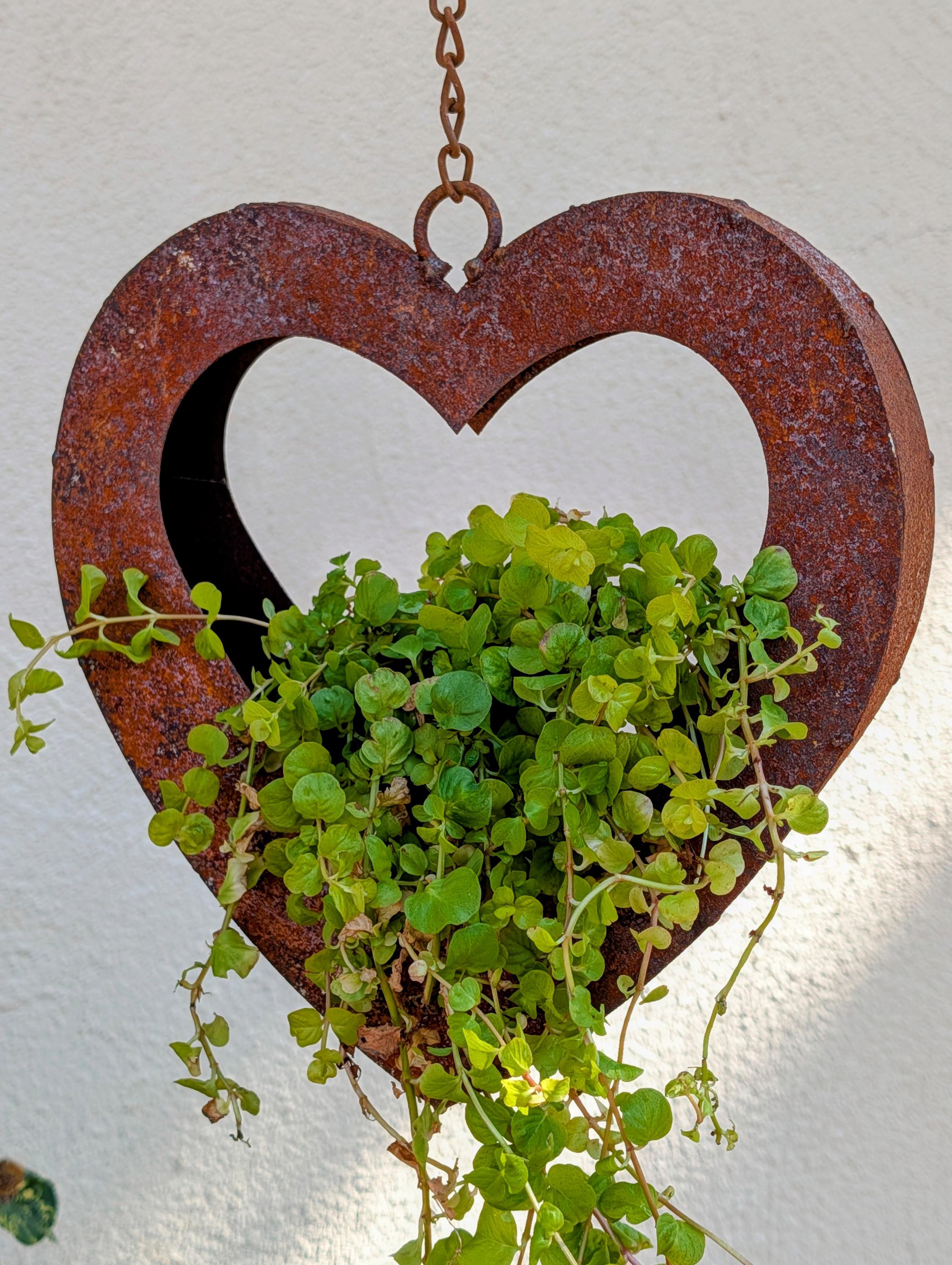 Rusted-style hanging heart-shaped planter