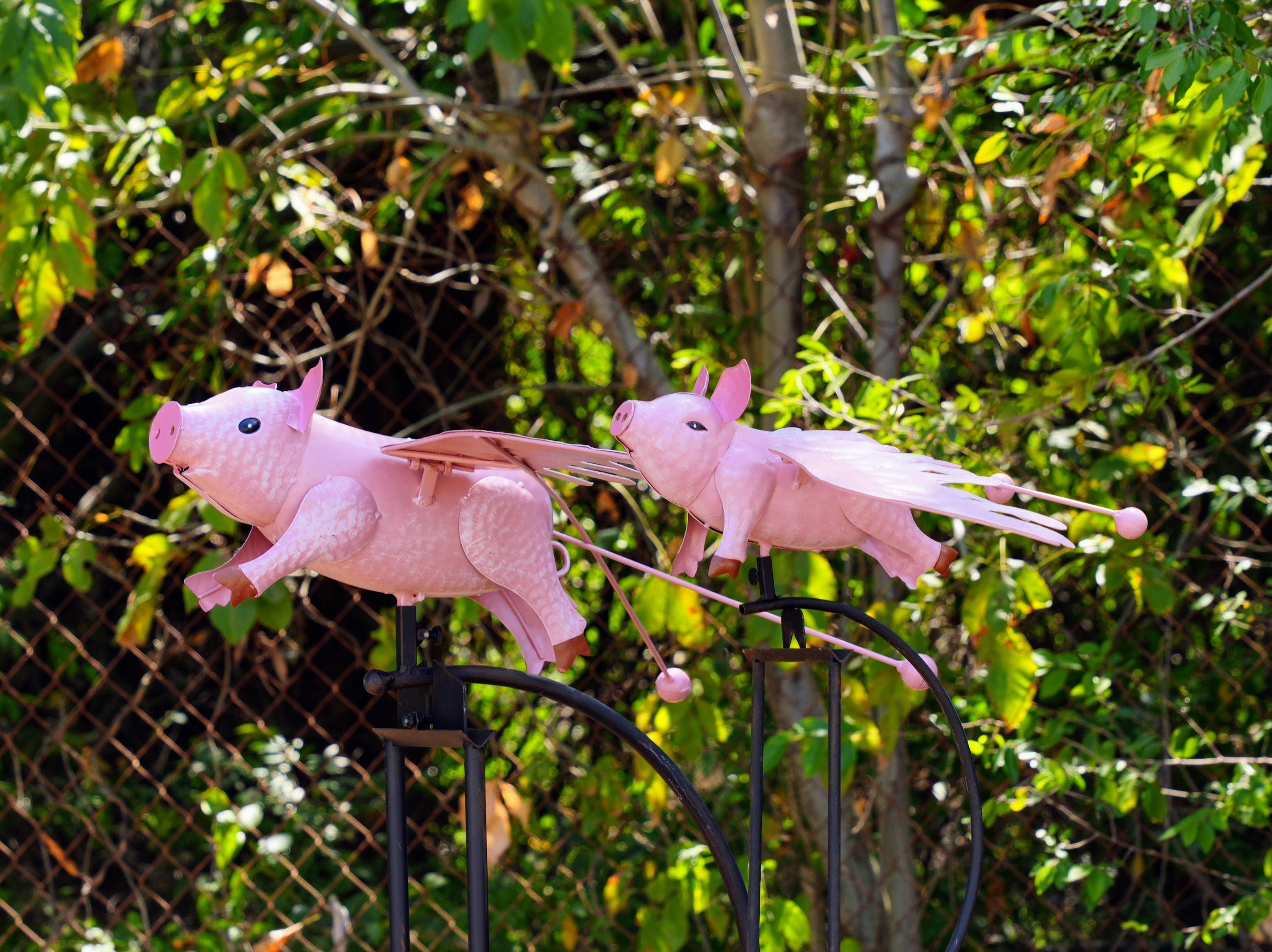 Pink Flying Pig Garden Rocker: Steel Balancing Lawn Ornament