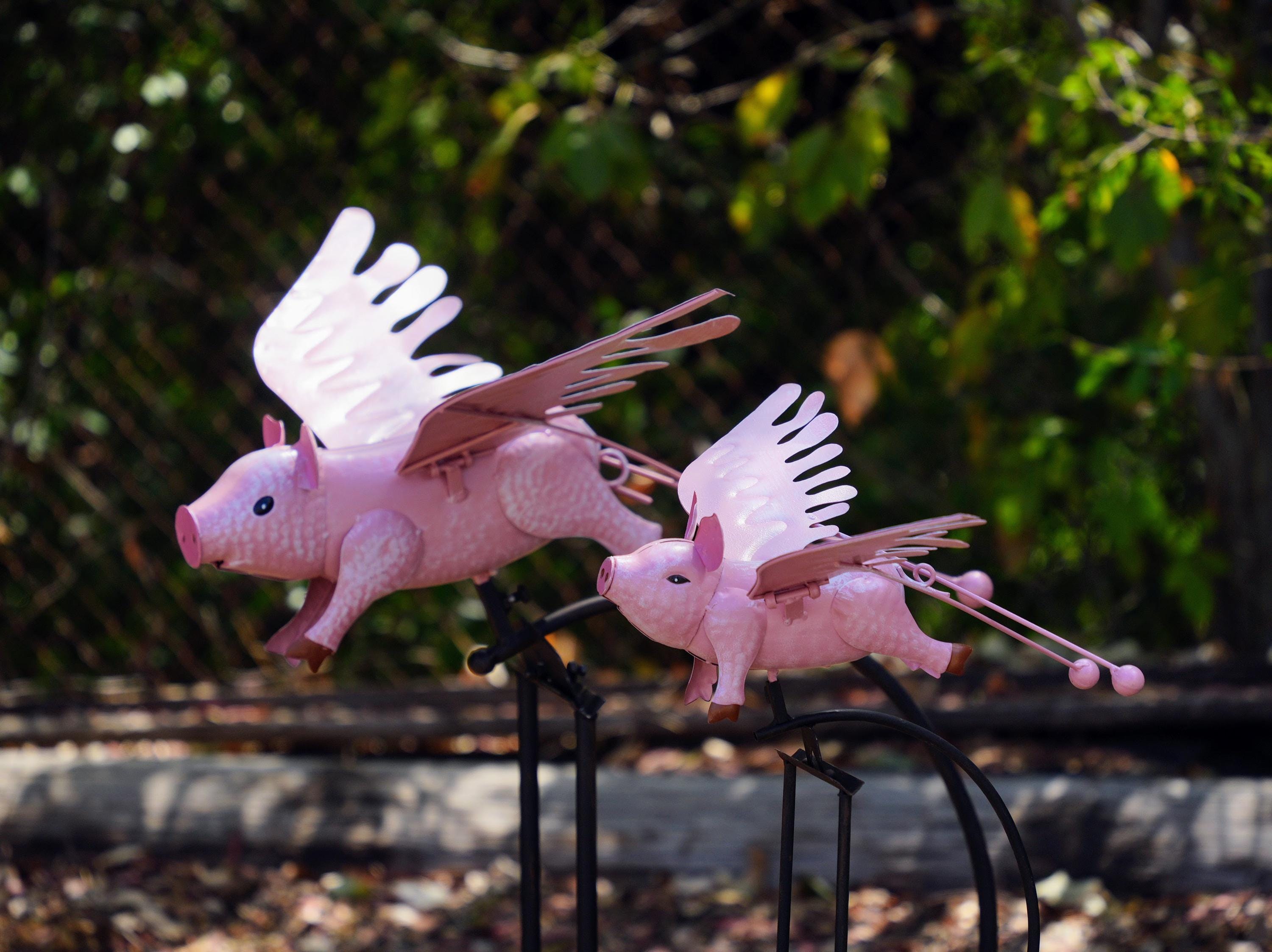 Pink Flying Pig Garden Rocker: Steel Balancing Lawn Ornament