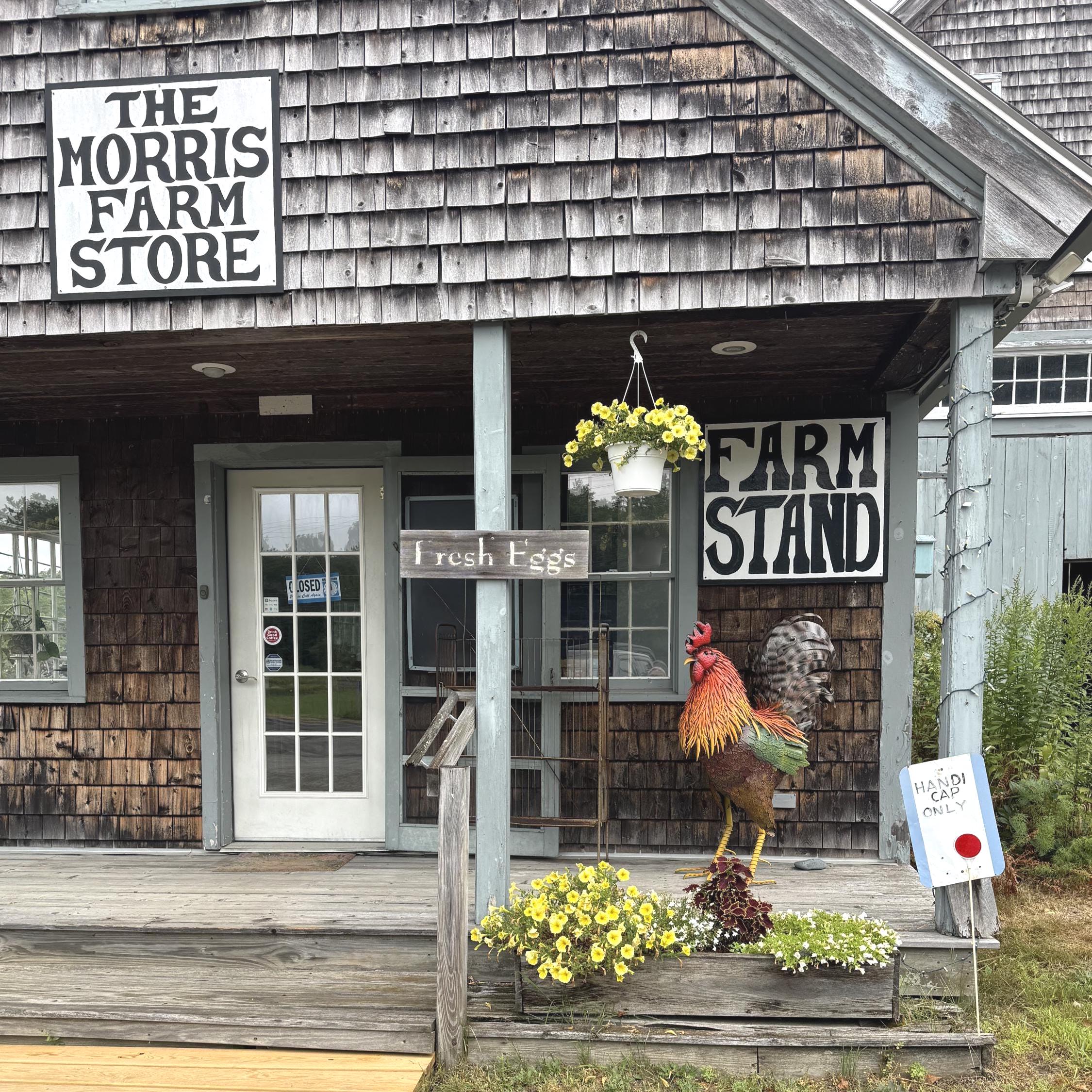 Handcrafted Metal Rooster Garden Statue – Farmhouse Yard Art Chicken Sculpture, Rustic Outdoor Decor
