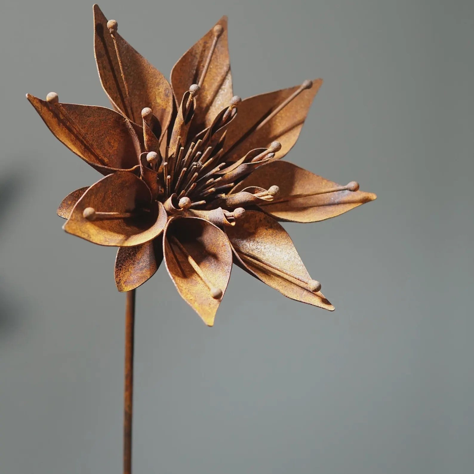 Rusty metal flower stake, garden gift - Set of 6 flowers