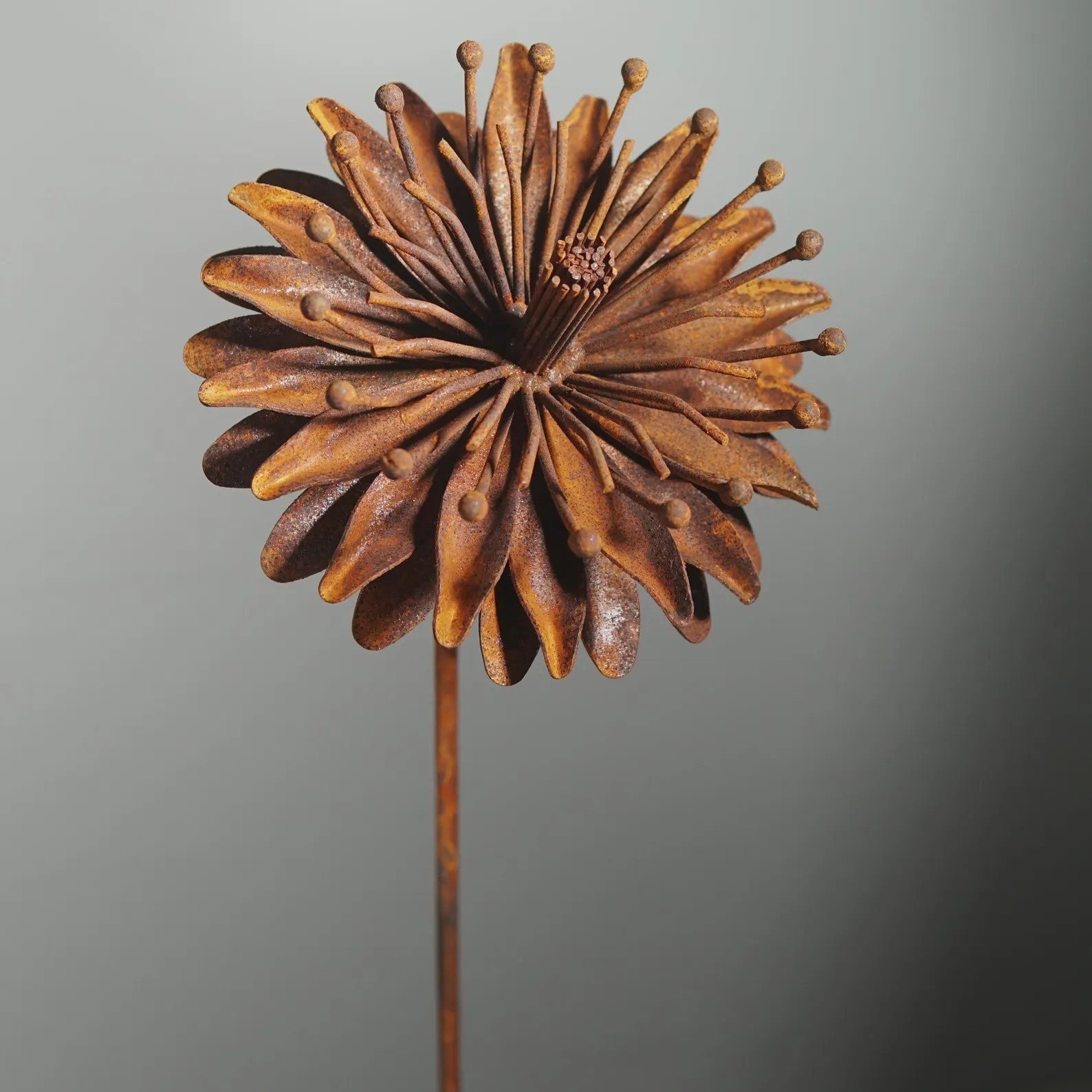Rusty metal flower stake, garden gift - Set of 6 flowers