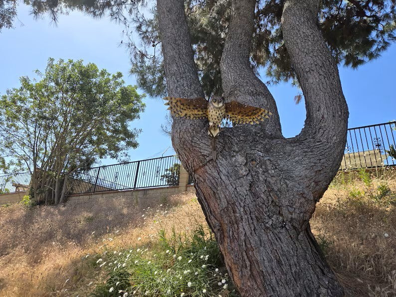 Handcrafted Metal Owl Garden Sculpture with Outstretched Wings - Rustic Yard Art